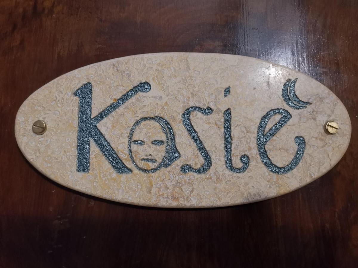 Kosie - Il Comfort Di Stile Con 2 Bagni Hotel Palermo Eksteriør billede